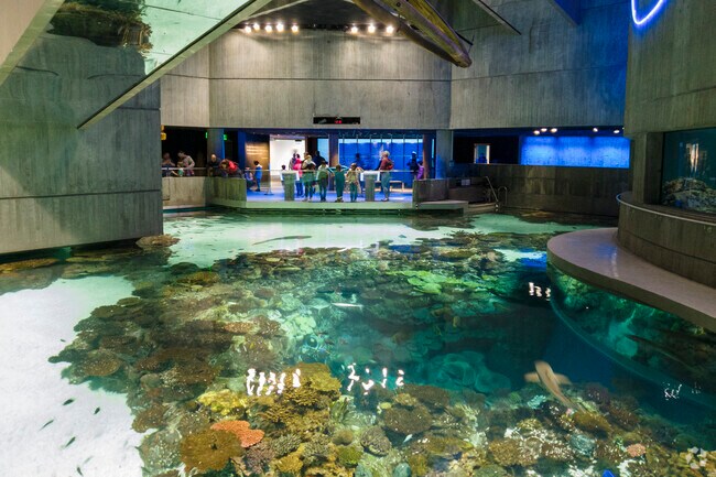Explore the National Aquarium in Baltimore’s Inner Harbor and discover a diverse range of marine life.