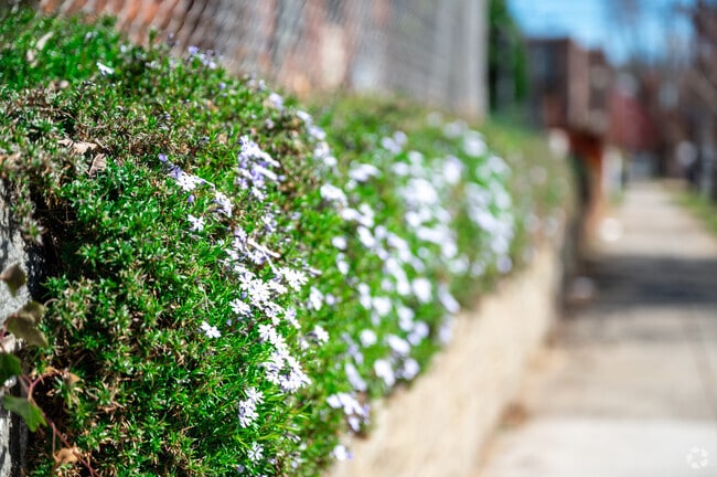 Greenway residents take pride in their gardens.