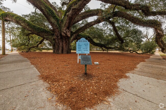 The Big Oak is one of many historic landmarks located in Thomasville.