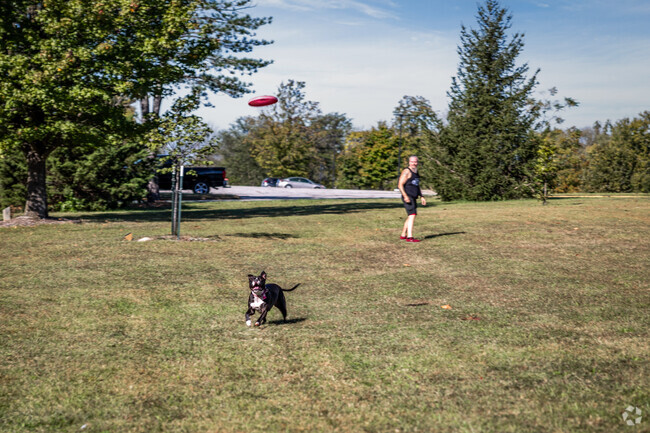 Let your dogs run around at Indian Hills Park, not too far from Ridgeway.
