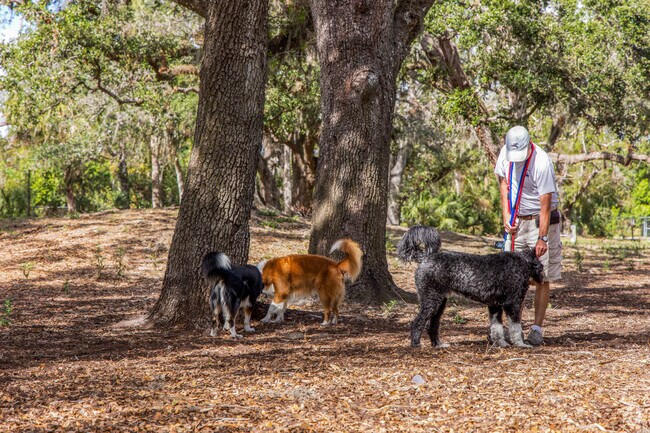 Enjoy some of the dog parks around lake Sarasota allowing your pups to run free.