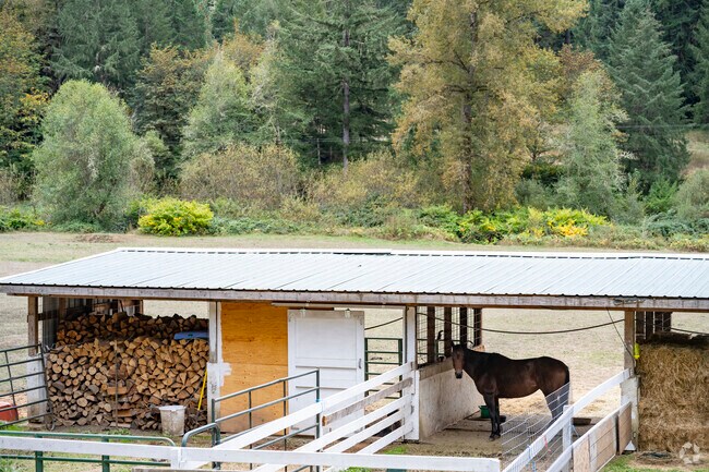 Horses can be found in the Curtin neighborhood.