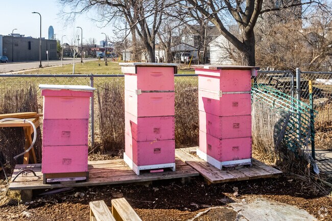 Bee Hives are tended at the Summer Street Gardens.