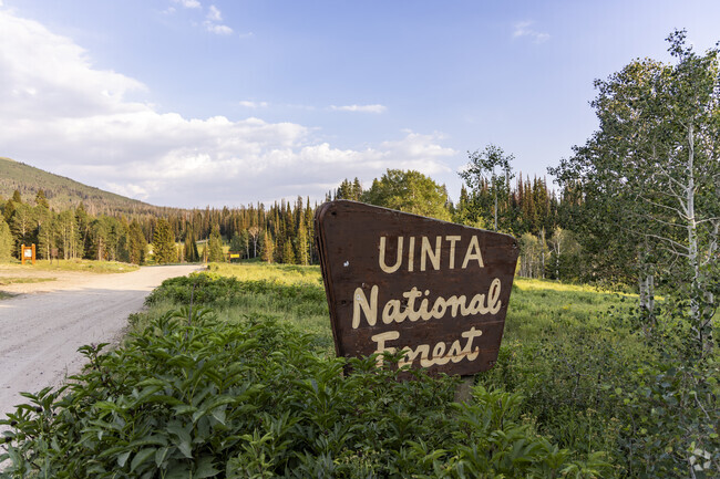The Unita National Forest sit up the road from Timber Lakes and is