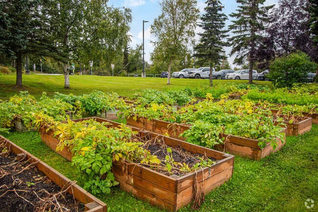 Huffman Elementary engages students in gardening projects.