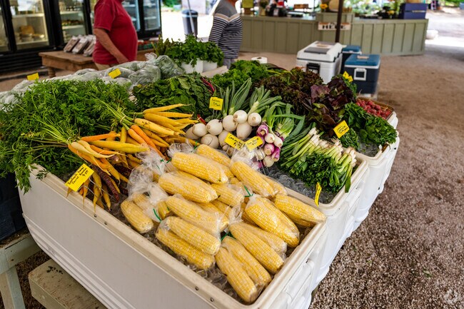 Shop at the local Rosebank Farms on Johns Island for fresh vegetables.