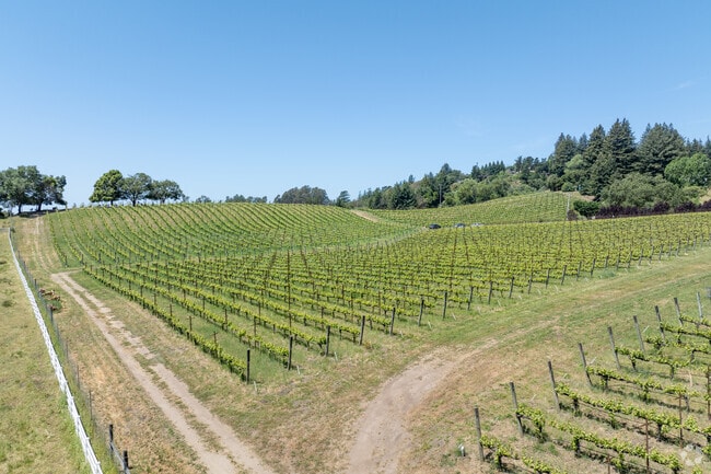 Rolling vineyards stretch across Corralitos, showcasing the area's renowned wine country charm.