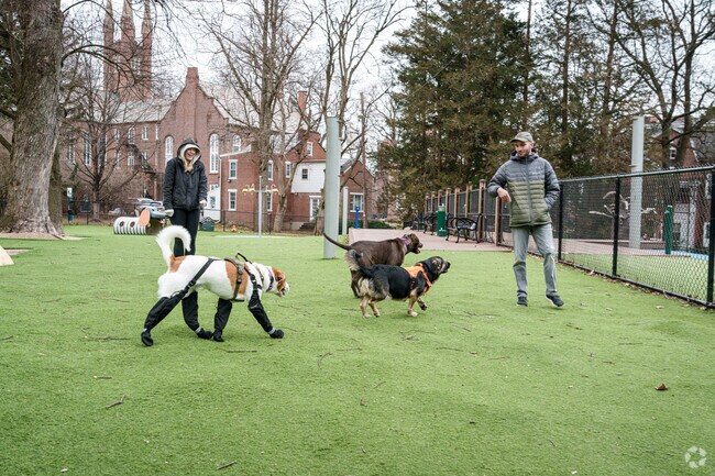Dogs and their owners spend many fun afternoons at Buchanan Park in the the West End.