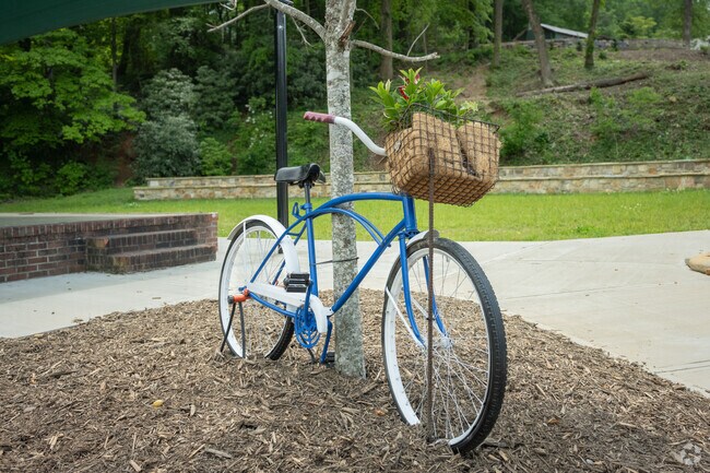Bicycles with plant pots dot the landscape of Saluda.