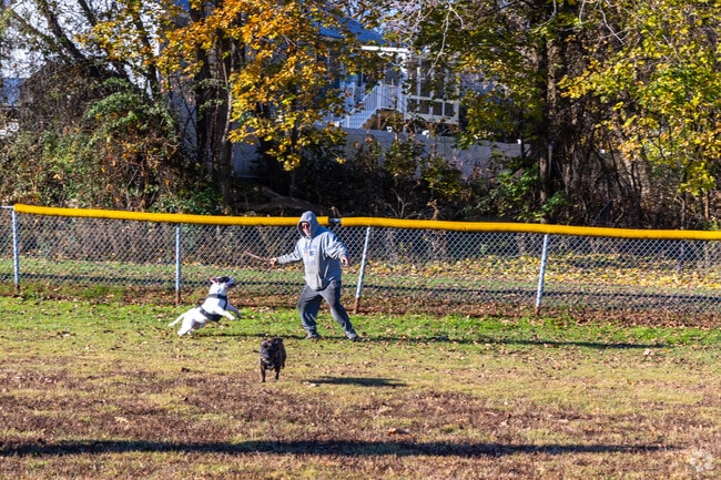 Bernon Memorial Park is a favored spot for locals to play with their dog.