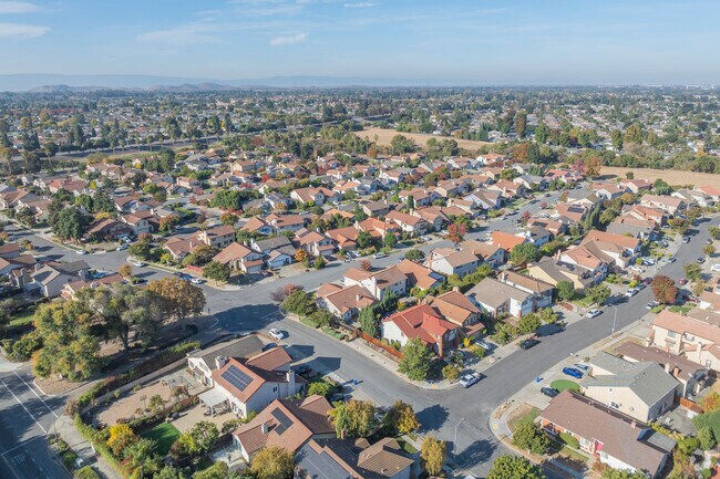 Brookvale is a dense suburban neighborhood close to downtown Fremont.