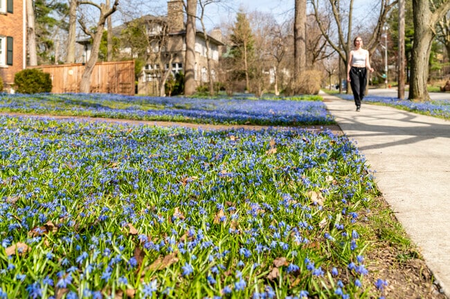 North Burns Park's walkable neighborhood streets are great for a quick workout.