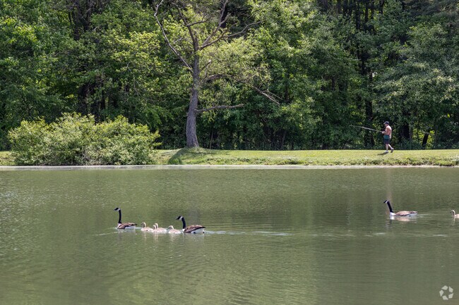 You may come across some adorable wild life in Connoquenessing Borough Park.