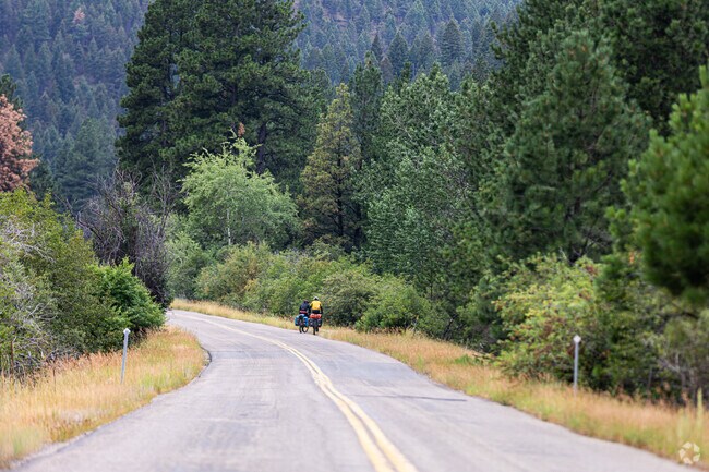 Cyclists enjoy a peaceful ride through the forested roads near Jefferson City.