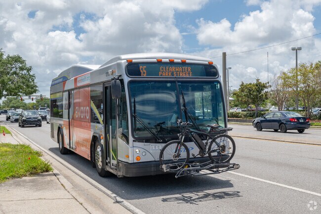 Convenient busses run along East Bay Drive from Newport to Clearwater.