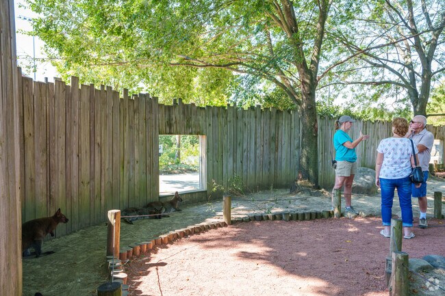 Bring the family to Columbian Park Zoo near Miller and learn about the wallabies.