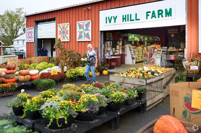 Ivy Hill Farm has been operating for over 100 years in Ringgold.