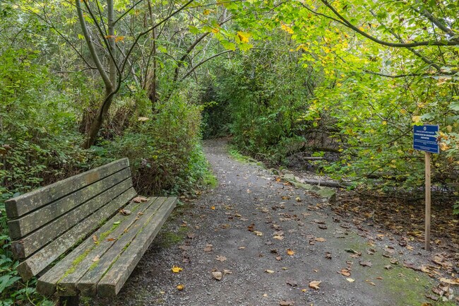 Sit on the benches for some time in nature at The Ellis Park Pond.