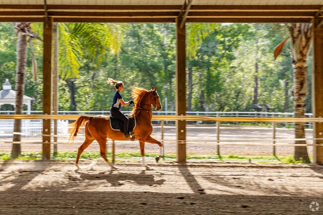 Suncoast Stables is a top rated training facility near Keystone.