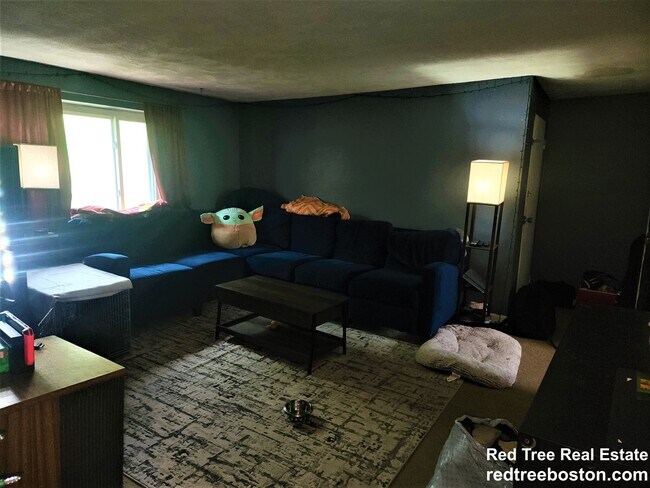 14 Bryon Rd unit 3, Chestnut Hill, MA 02467 - photo 3