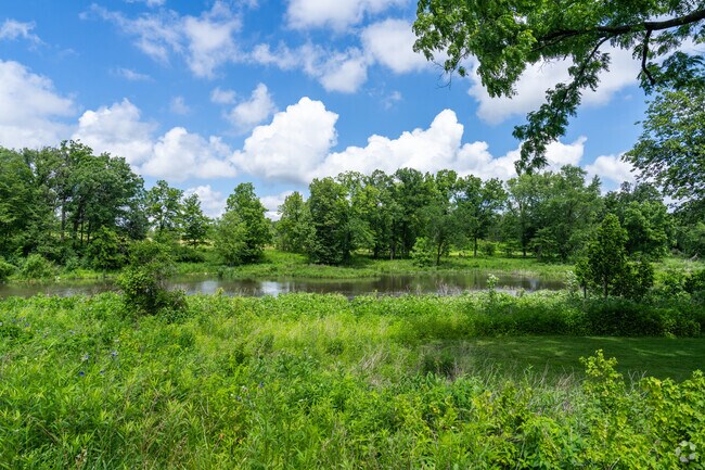 McDowell Grove Forest Preserve near Brookdale has stunning views and natural landscapes.