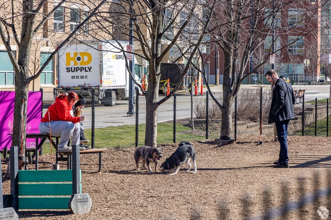 Paws Dog Park is a great place to let your best friend run free in Southside Flats.