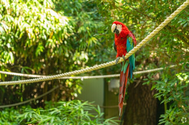Salisbury Zoo is just outside of East Main Street and features many exotic animals.