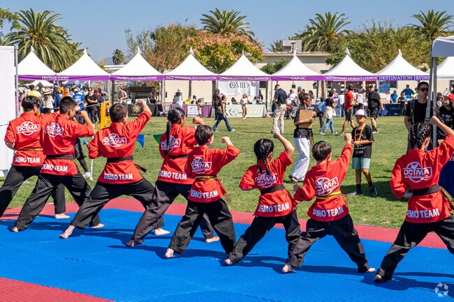 Kids of demonstrate their martial arts prowess at the Irvine Global Village Festival.