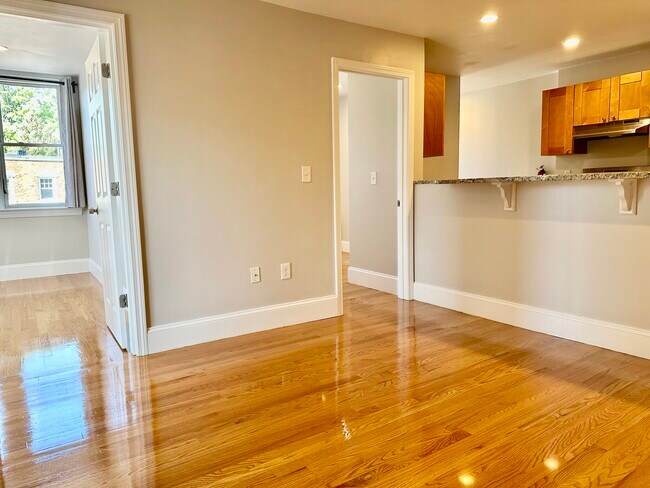 76 Egmont St unit 6, Brookline, MA 02446 - photo 4
