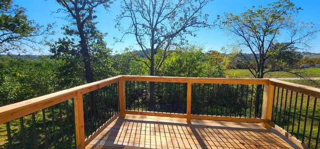 1441 Co Rd 806, Gainesville, MO 65655 - photo 3