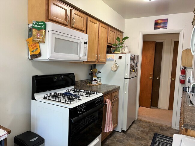 103 W Oregon St, Urbana, IL 61801 - photo 6