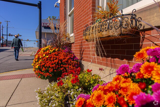 Colorful flowers brighten the streets of downtown Franklin Township Greene.