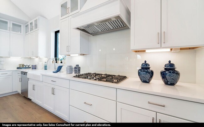 8903 Hazel Beach unit 37726752, Elmendorf, TX 78112 - photo 5