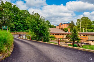 The Montessori School - Kalamazoo Campus