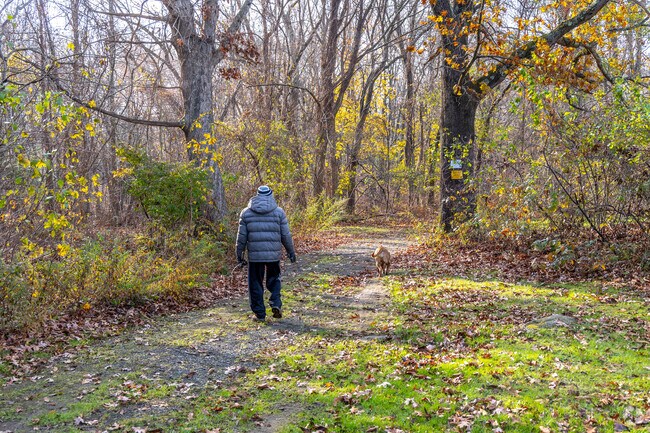 A resident taking a leisurely walk with his furry companion in Manville Memorial Park.