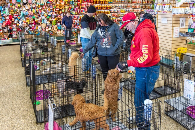 Pet Ranch is a full-service pet store specializing in puppies and quality house pet supplies.