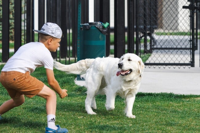 Lofts at River Point, La Crosse, WI 54603 - photo 6