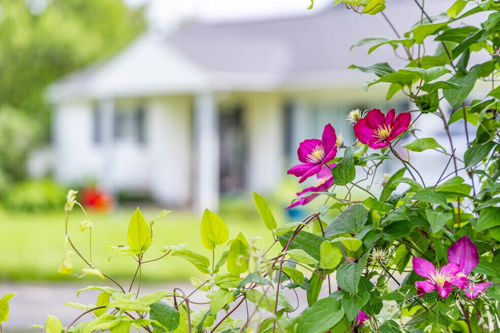 NH_MOUNT CARMEL_547441_061124_P2_JNS_EDIT_V1