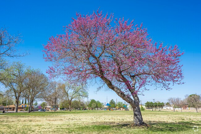 Trees and flowers bloom each spring throughout Enchanted Park.