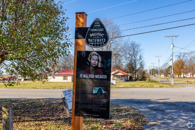 Jo-Walker Meador was born in Orlinda, TN.