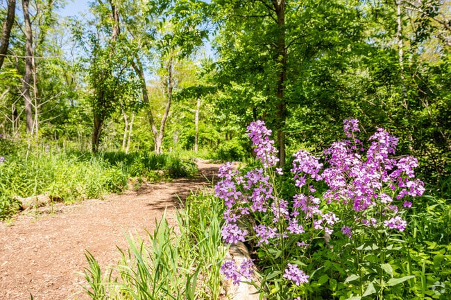 Nature paths with blooming flowers make for vibrant outdoor landscapes.