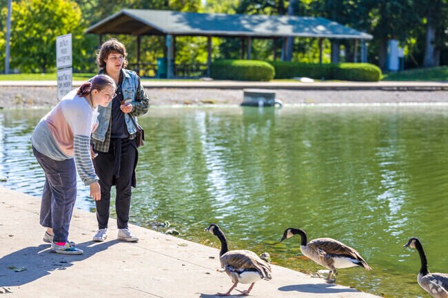 At Fairview Park, friends toss breadcrumbs to the geese gathering by the shore.