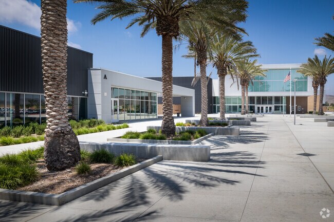 Palm trees line the entrance to Liberty High School in Winchester.