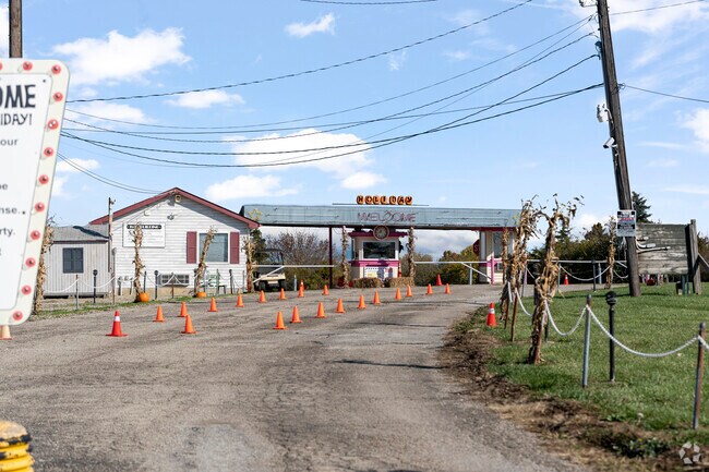 Drive right into the drive-in movie theater.