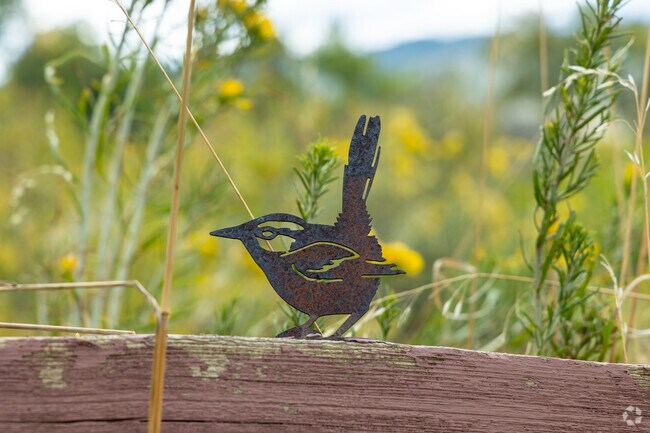 Visit the Audubon Center near Chatfield Bluffs to learn more about nature.