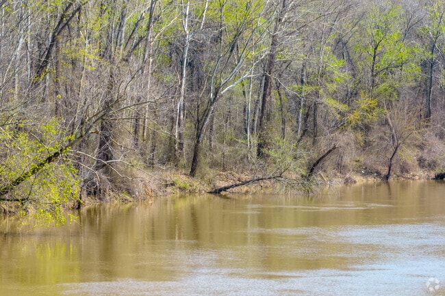 The Wolf River is an important local waterway that runs through Hollywood.