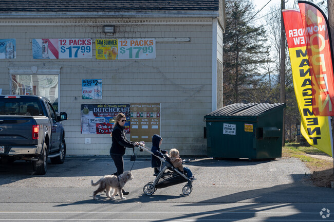 A woman walks with a child and dog on East Main Street in West Brookfield.