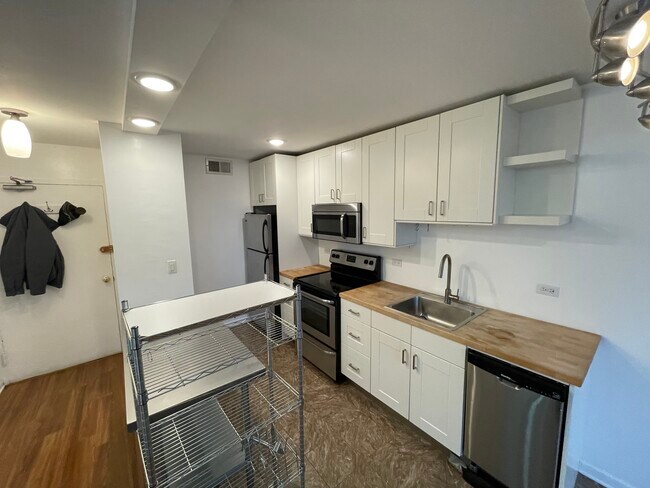 Bryant House unit 607A, Chicago, IL 60610 - photo 4