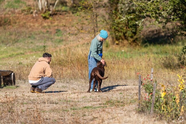 Madison Meadow is a favorite spot for dog lovers to come in the Friendly neighborhood.