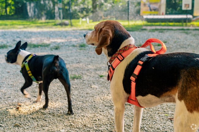 Watson Dog Park in Hartford includes off-leash space.